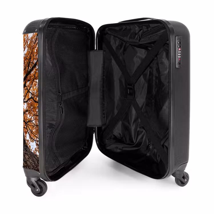 Suitcase - Tree - Canopy - Fall - Orange - Atmospheric — 3