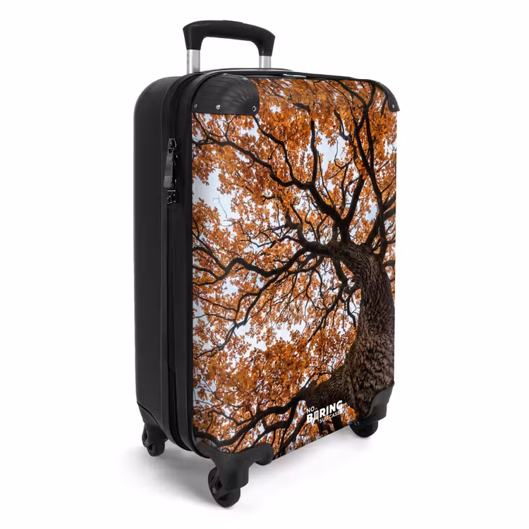 Suitcase - Tree - Canopy - Fall - Orange - Atmospheric — 4