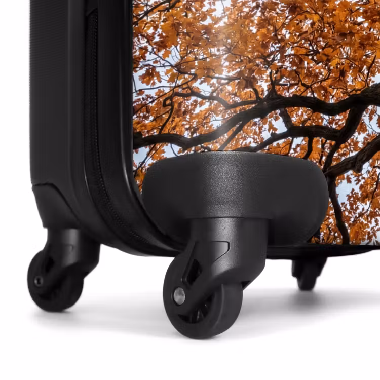 Suitcase - Tree - Canopy - Fall - Orange - Atmospheric — 6