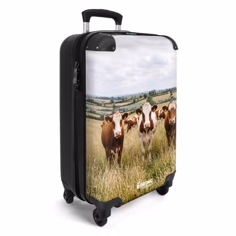 Suitcase - upload-6a4f5c526792f-92-gigapixel-standard-v2-15x — 4