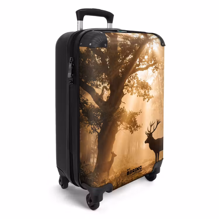 Suitcase - upload-6a4f5c682ef91-97-gigapixel-standard-v2-15x — 4