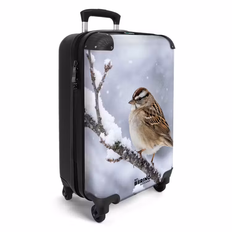 Suitcase - Bird - Branch - Snow - Winter — 4