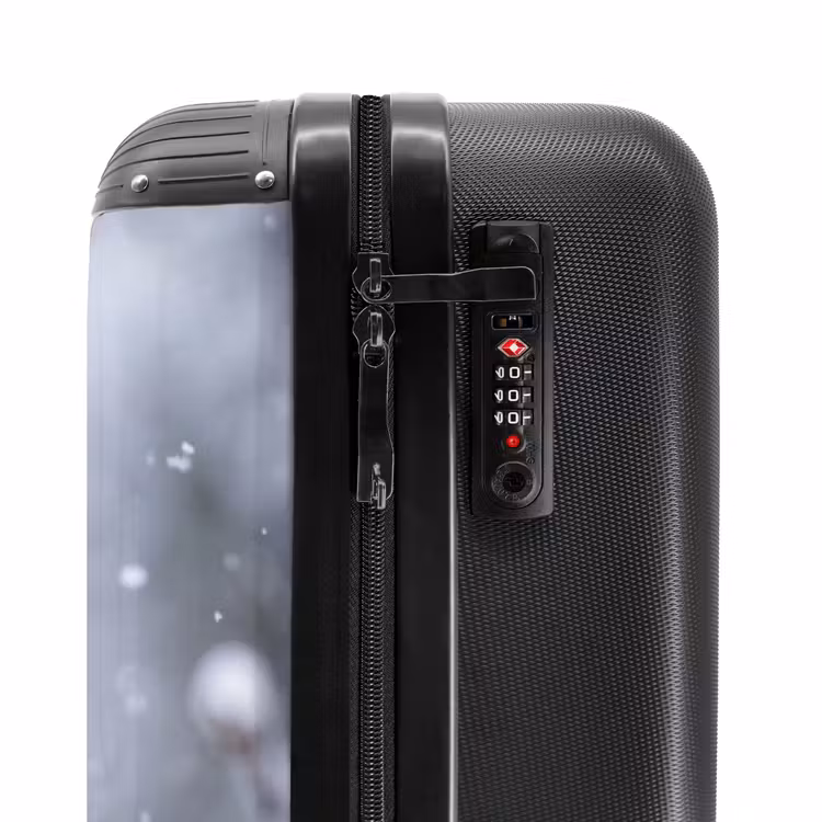 Suitcase - Bird - Branch - Snow - Winter — 5
