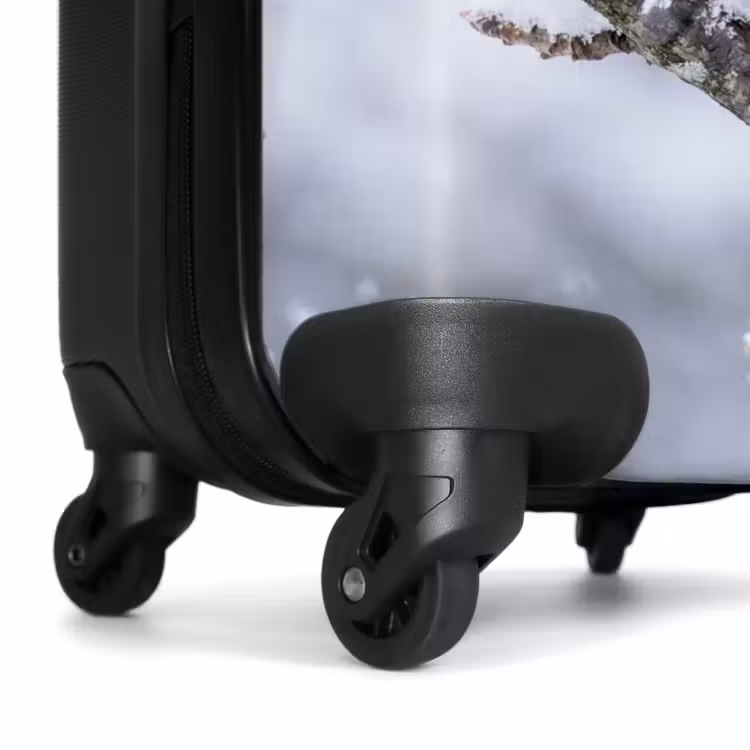 Suitcase - Bird - Branch - Snow - Winter — 6