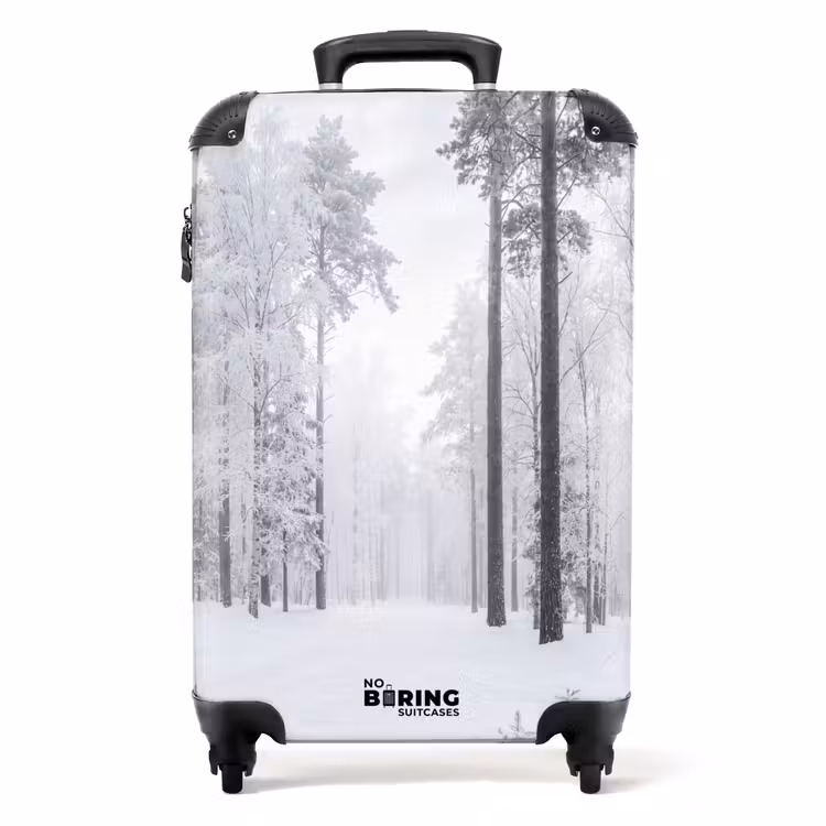 Suitcase - Forest - Snow - Path - Winter - Silence — 1