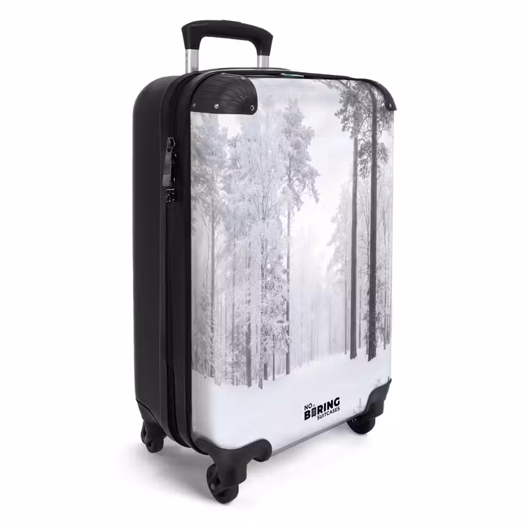 Suitcase - Forest - Snow - Path - Winter - Silence — 4
