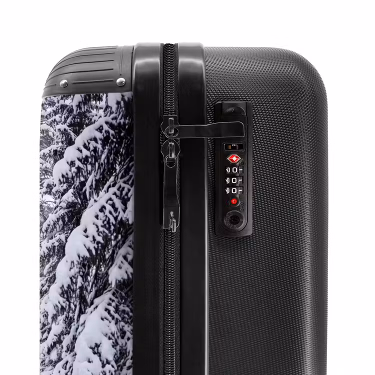 Suitcase - Forest - Winter - Snow - Path - Nature — 5