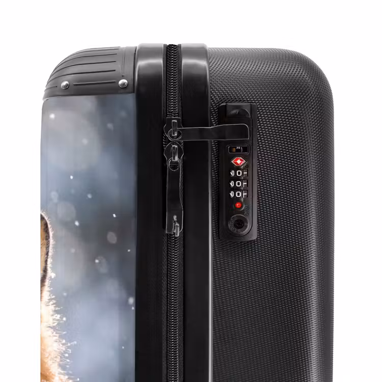 Suitcase - Fox - Snowfall - Portrait - Winter - Atmospheric — 5