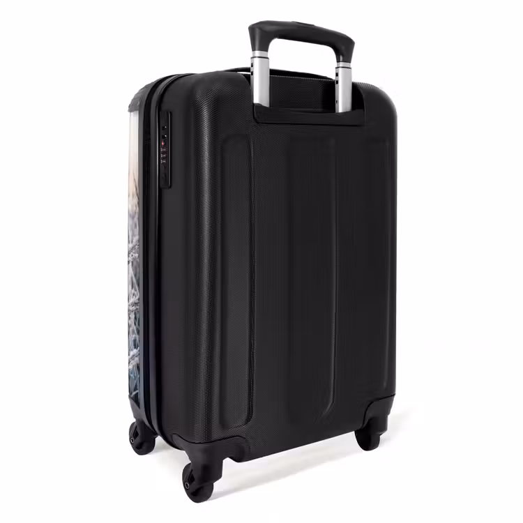 Suitcase - Frost - Grass - Crystals - Winter - Minimalist — 2