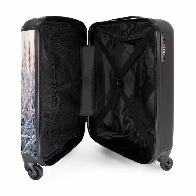 Suitcase - Frost - Grass - Crystals - Winter - Minimalist — 3