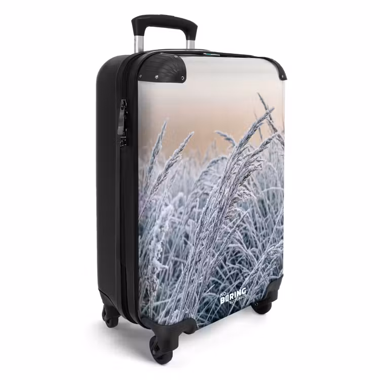 Suitcase - Frost - Grass - Crystals - Winter - Minimalist — 4