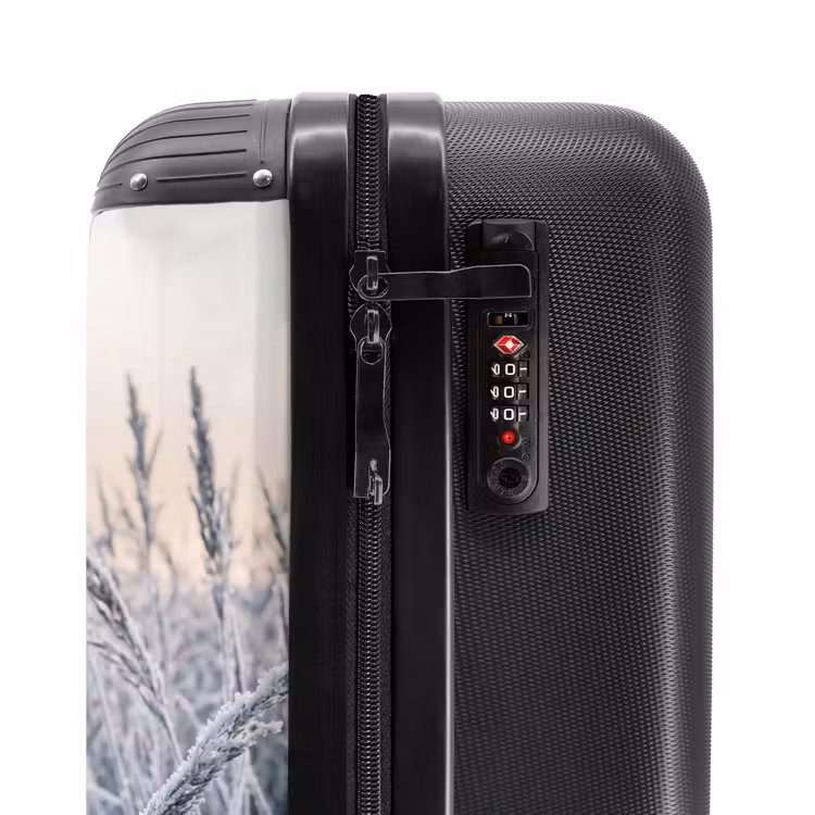 Suitcase - Frost - Grass - Crystals - Winter - Minimalist — 5