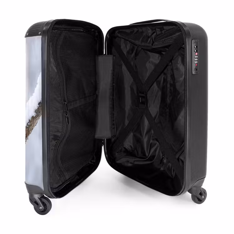 Suitcase - Little Bird - Snow - Branch - Winter - Soft — 3