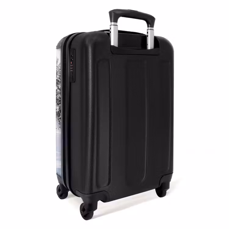 Suitcase - More - Pine - Ice - Winter - Soothing — 2