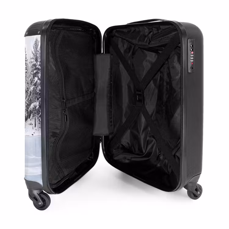 Suitcase - More - Pine - Ice - Winter - Soothing — 3