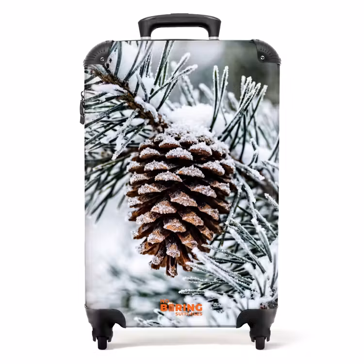 Suitcase - Pine Cone - Branch - Snow - Winter - Atmospheric — 1