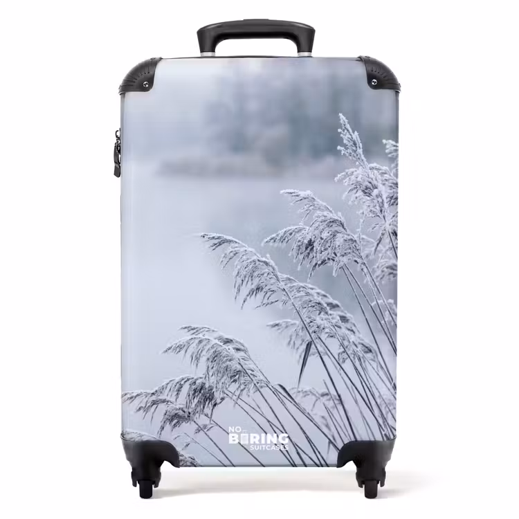 Suitcase - Reeds - Frozen - Winter - Nature — 1