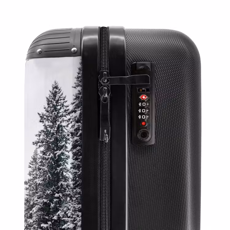 Suitcase - Road - Snow - Coniferous Forest - Winter - Adventurous — 5