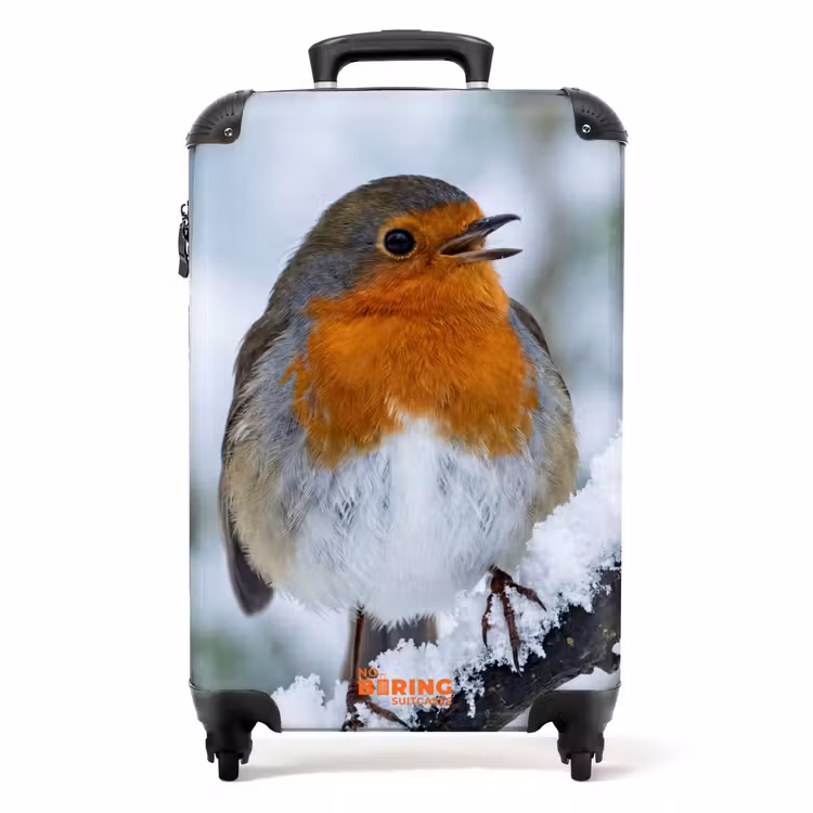 Suitcase - Robin - Branch - Snow - Winter - Lively — 1