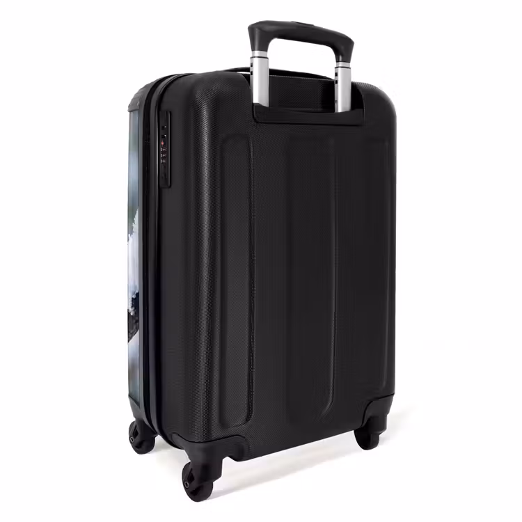 Suitcase - Robin - Branch - Snow - Winter - Lively — 2