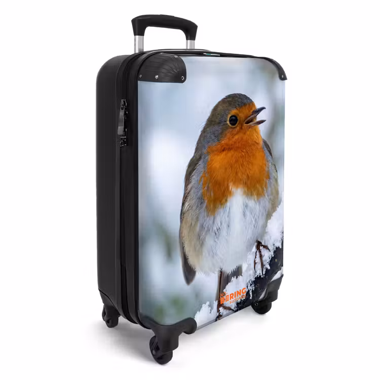 Suitcase - Robin - Branch - Snow - Winter - Lively — 4
