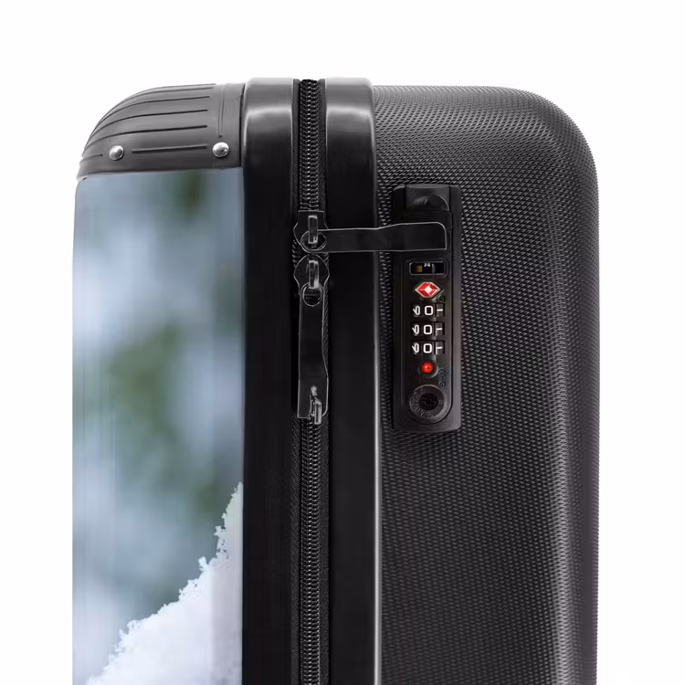 Suitcase - Robin - Branch - Snow - Winter - Lively — 5