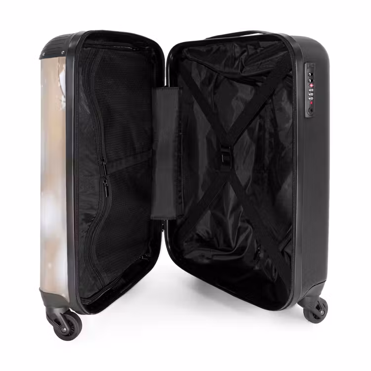 Suitcase - Robin - Dried Flower - Snow - Winter - Charming — 3