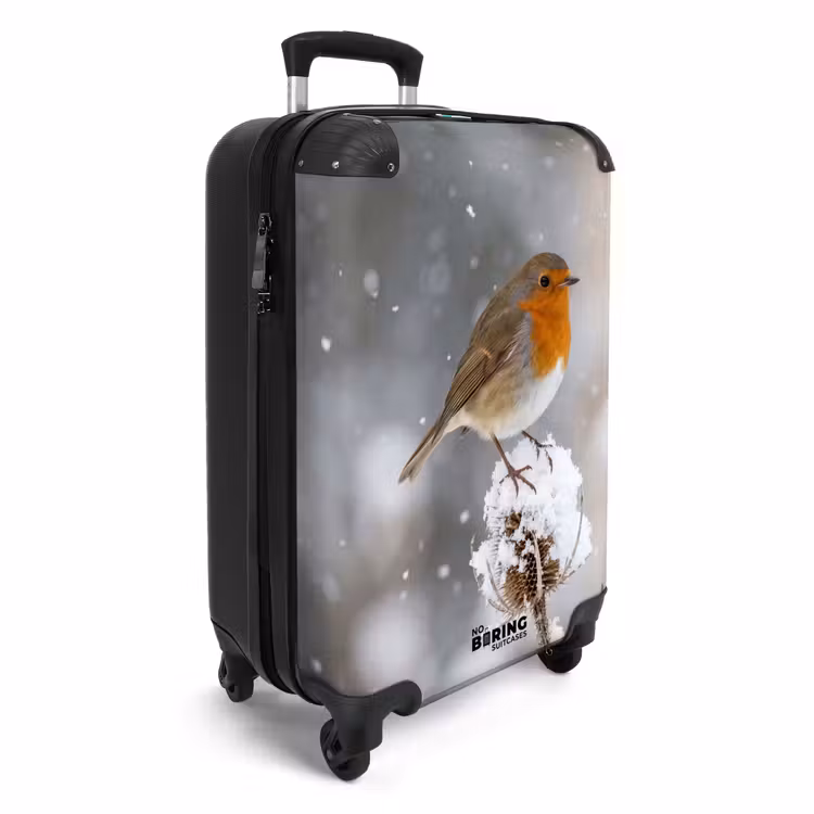 Suitcase - Robin - Dried Flower - Snow - Winter - Charming — 4