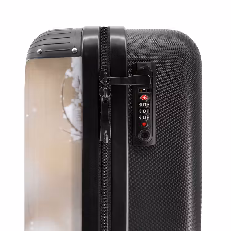 Suitcase - Robin - Dried Flower - Snow - Winter - Charming — 5
