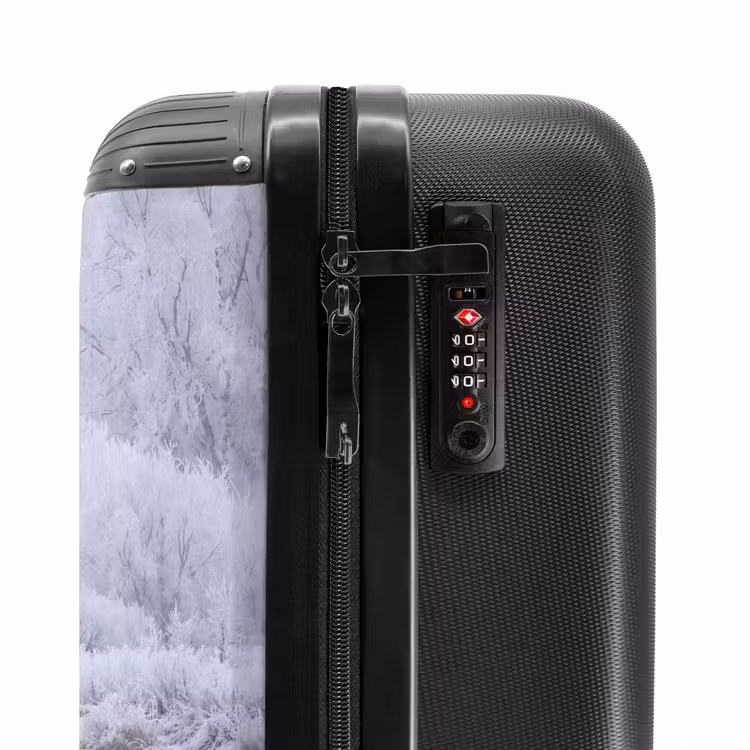 Suitcase - River - Snow - Forest - Winter - Picturesque — 5