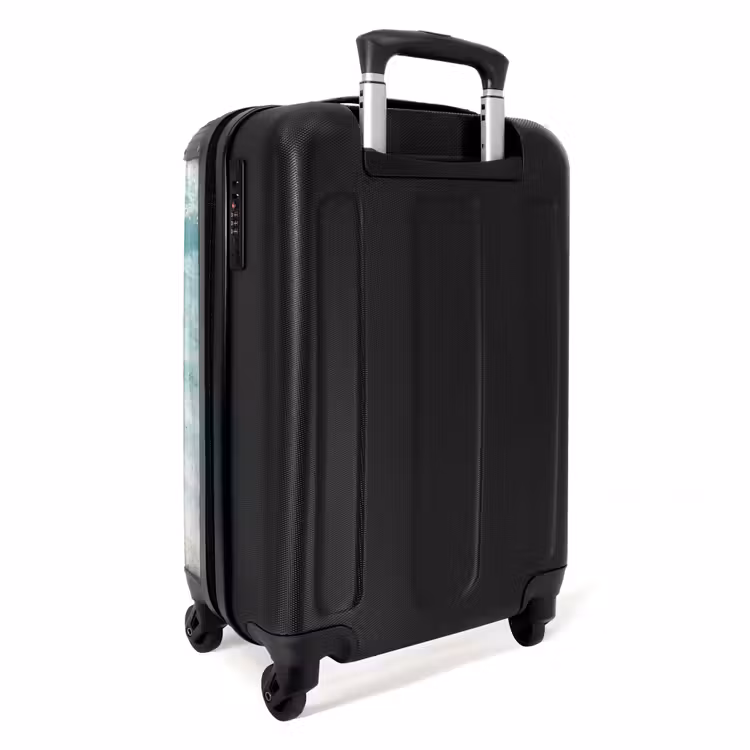 Suitcase - Turtle - Clear water - Beach - Animals - Nature — 2