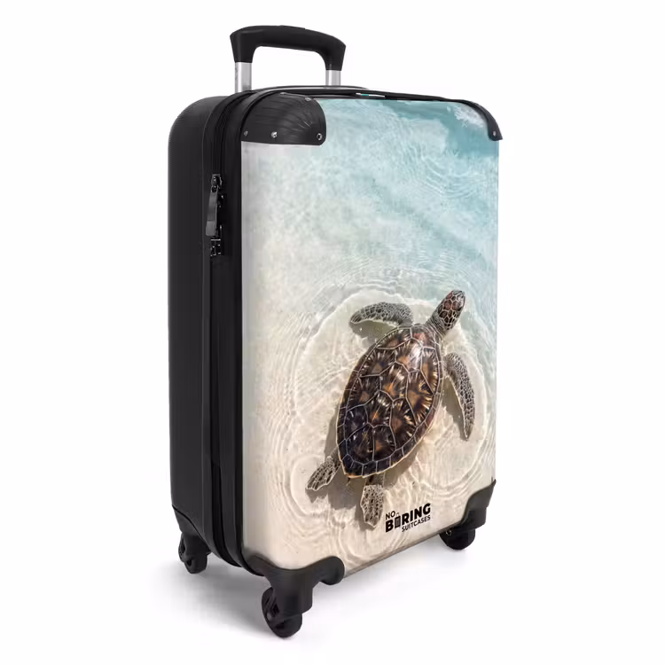 Suitcase - Turtle - Clear water - Beach - Animals - Nature — 4