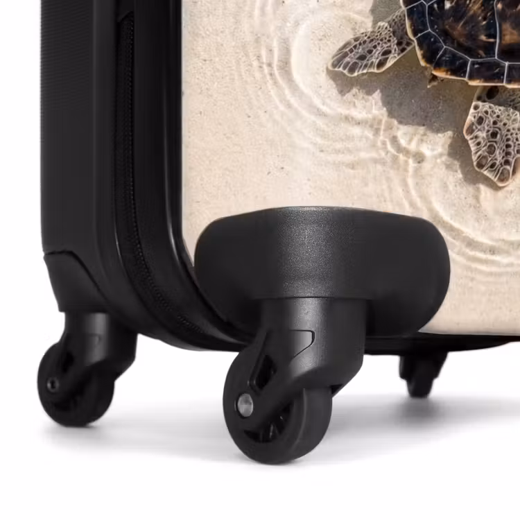 Suitcase - Turtle - Clear water - Beach - Animals - Nature — 6