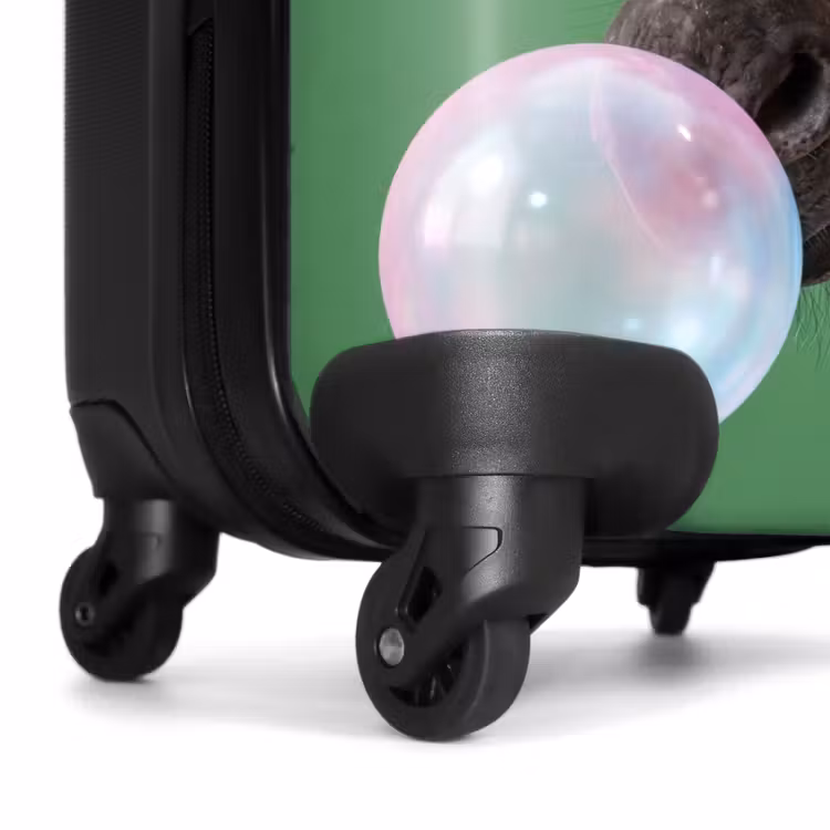 Suitcase - Animal - Glasses - Bell - Modern - Green — 6
