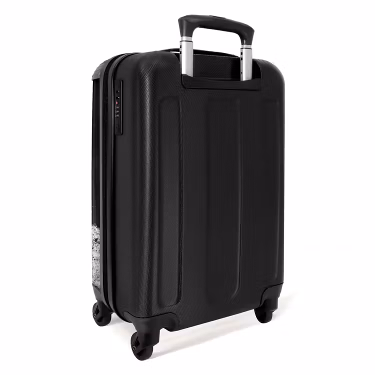 Suitcase - Bull - Shadow - Animals - Contrast - Black and White — 2