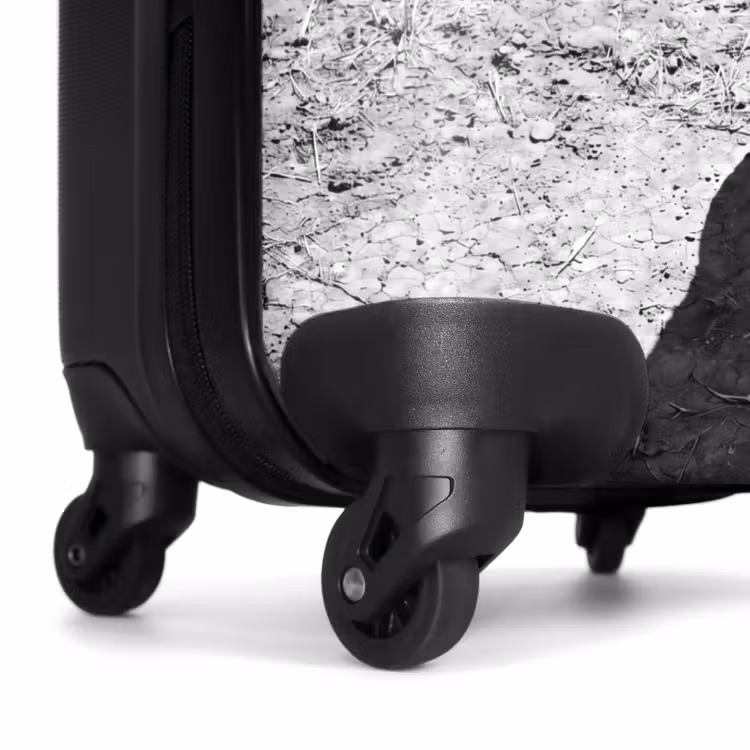 Suitcase - Bull - Shadow - Animals - Contrast - Black and White — 6