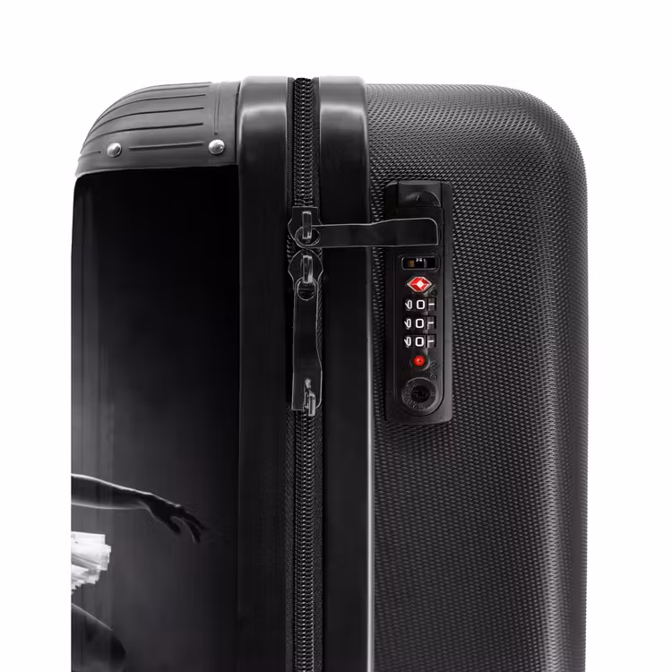 Suitcase - Dancer - Stage - Black and White - Art - Classical — 5