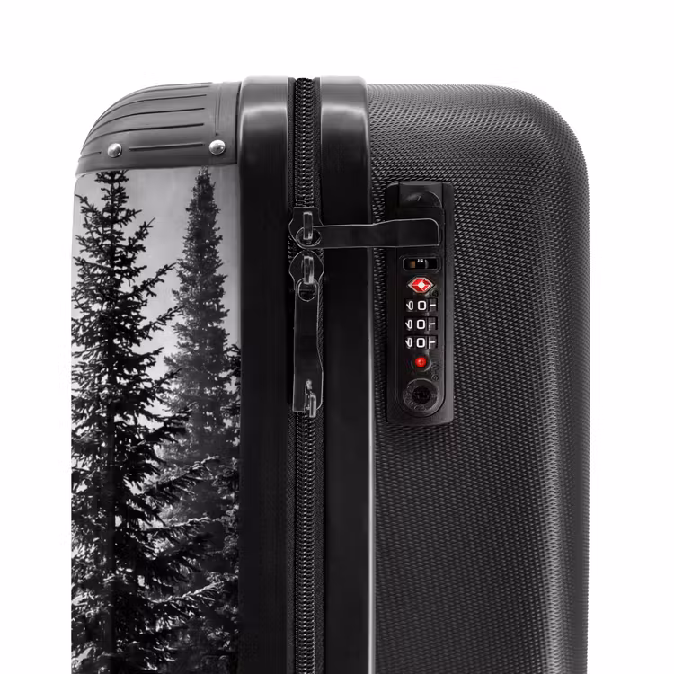 Suitcase - Forest - Fog - Winter - Monochrome - Nature — 5