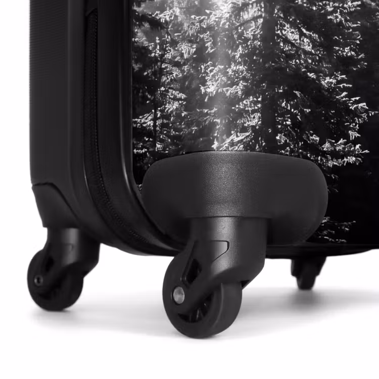 Suitcase - Forest - Fog - Winter - Monochrome - Nature — 6