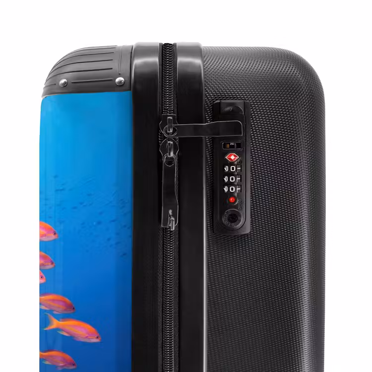 Suitcase - Underwater - Coral Reef - Fish - Ocean - Nature — 5