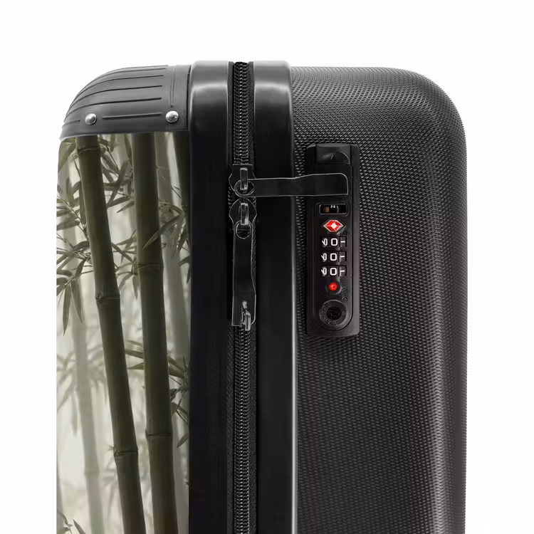 Suitcase - Bamboo - Forest - Fog - Nature — 5