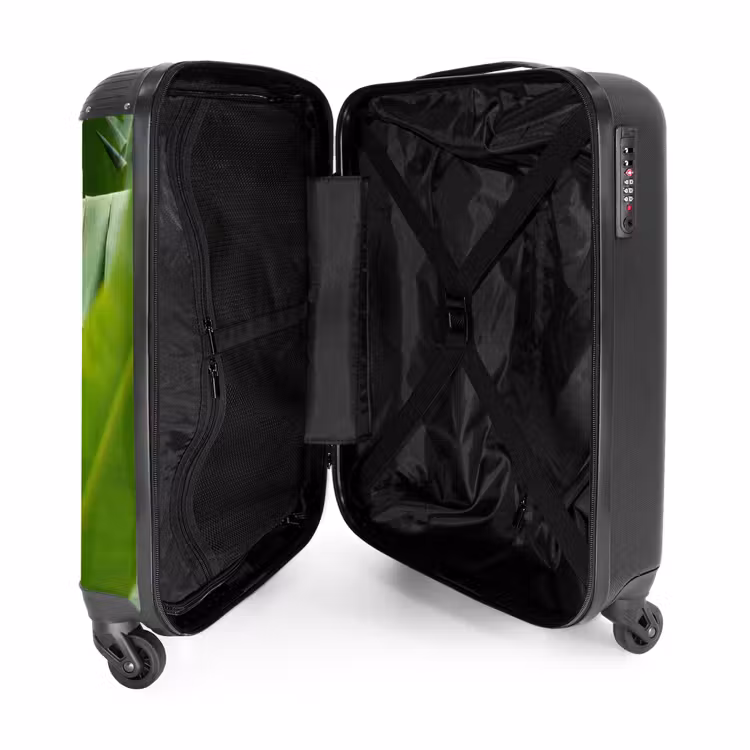 Suitcase - Food - Bananas - Plantation - Green — 3