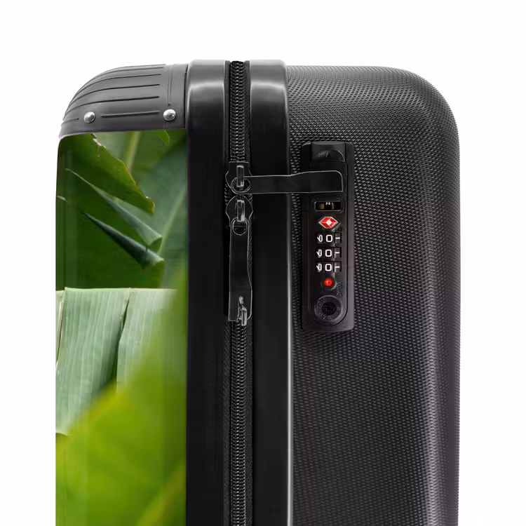 Suitcase - Food - Bananas - Plantation - Green — 5