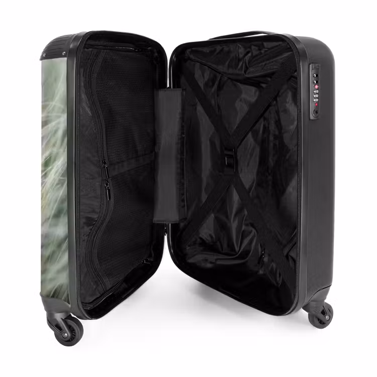 Suitcase - Grass - Blurry - Nature - Green - Soft — 3