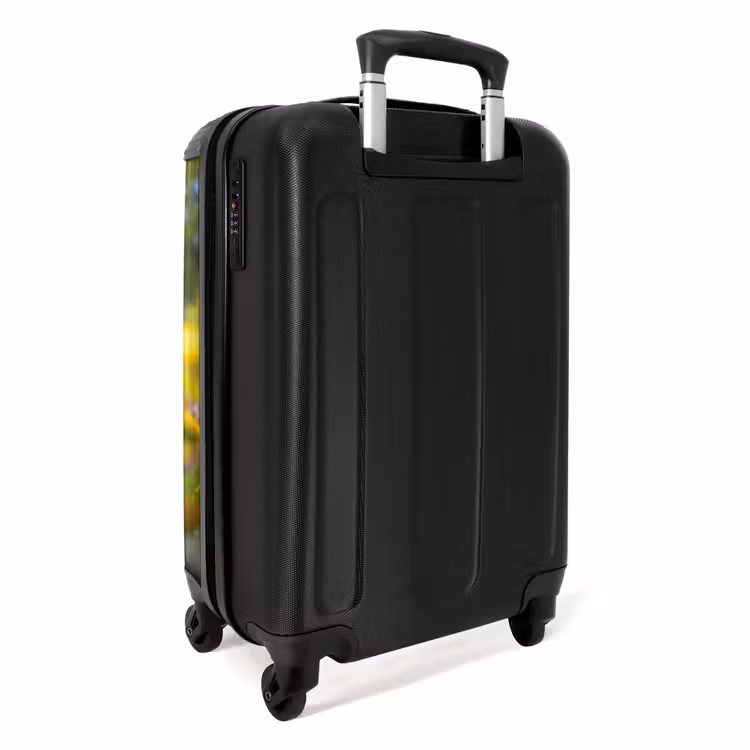 Suitcase - Woutje employed — 2