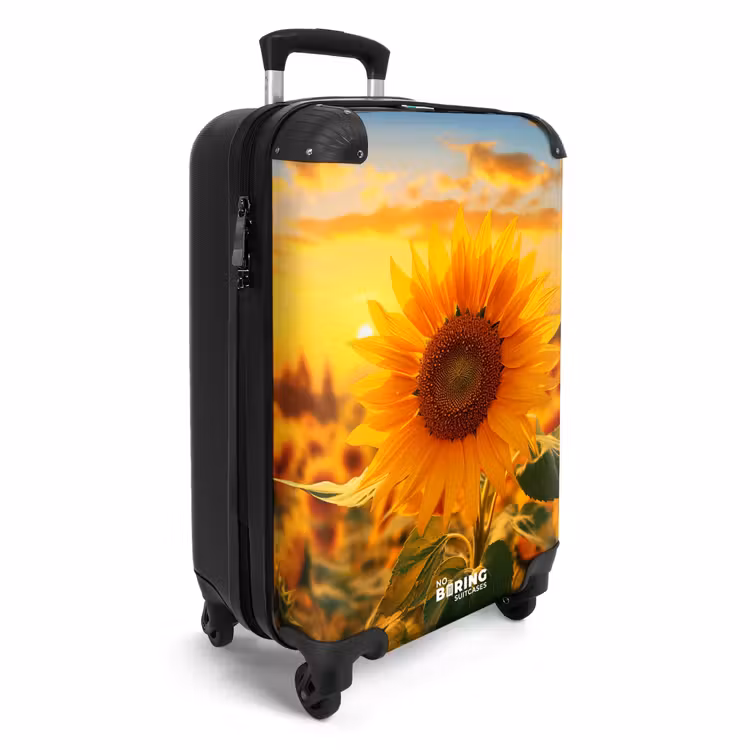 Suitcase - Yellow sunflower at sunset — 4