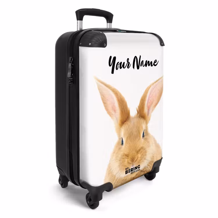 Suitcase with name - Sniffles with Satisfied Head — 2