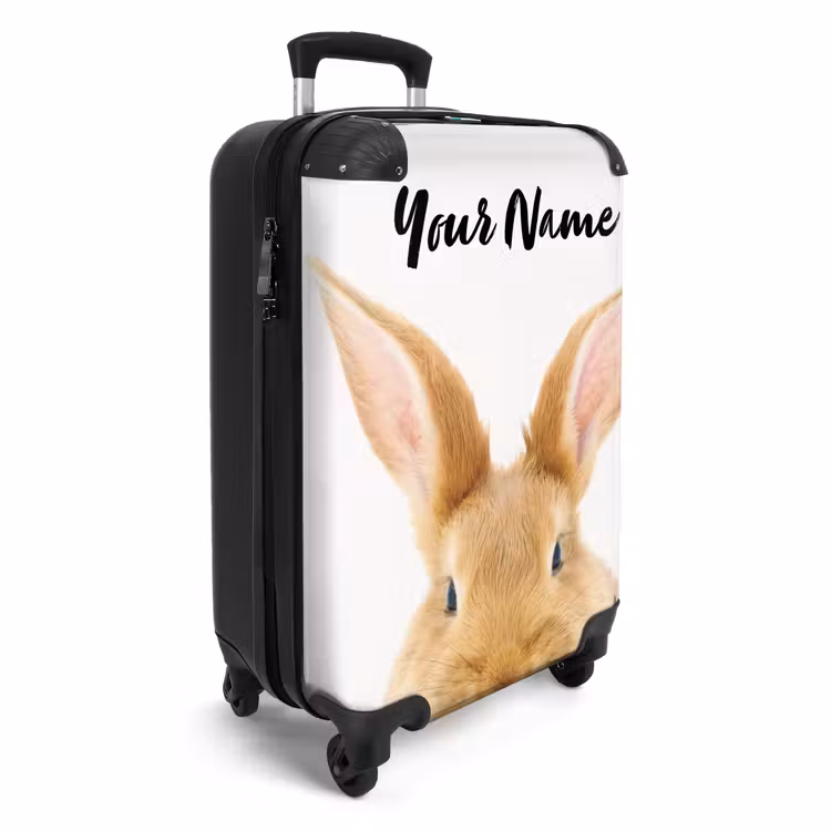 Suitcase with name - Sniffles with Satisfied Head — 2