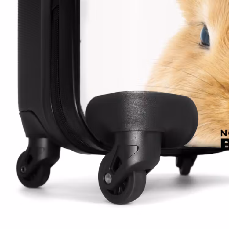 Suitcase with name - Sniffles with Satisfied Head — 7