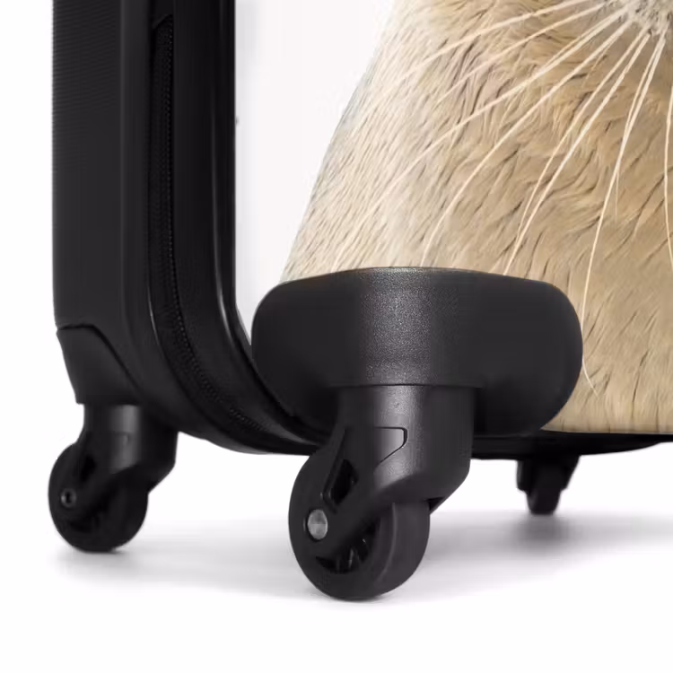 Suitcase with name - Zyon Seal — 6
